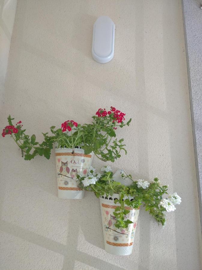 Maria Belkis Apartment โอว์เรนเซ ภายนอก รูปภาพ